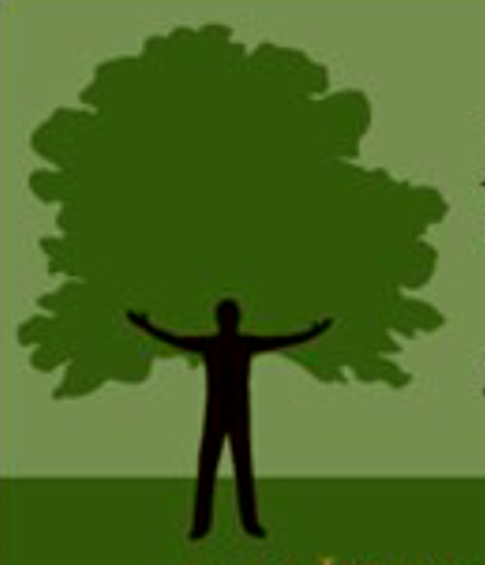 Mr. Tree Services logo