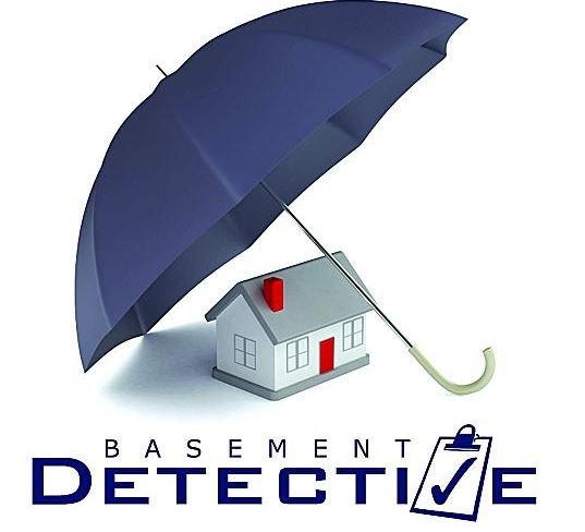 Basement Detective logo