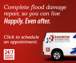 Logo for Rainbow International