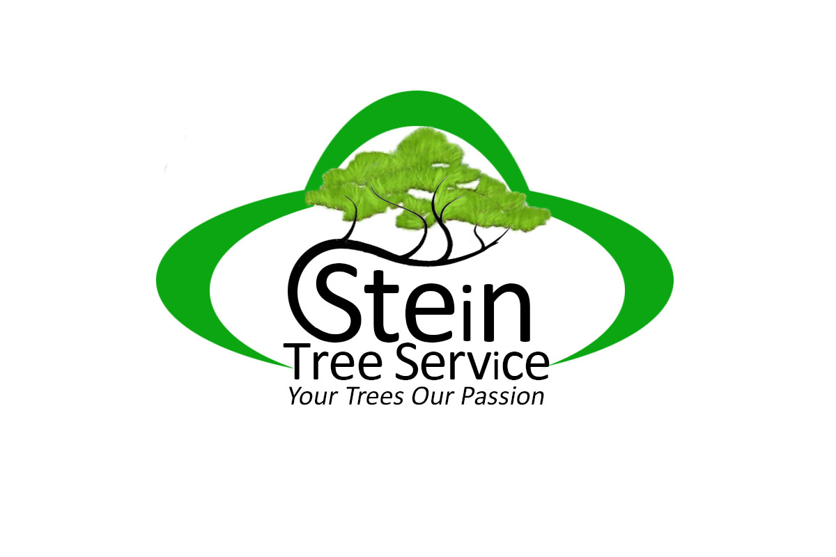 Logo for Stein Tree Service Inc