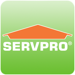 Avatar for ServPro #9873