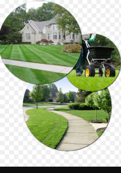 Family Lawn Care logo