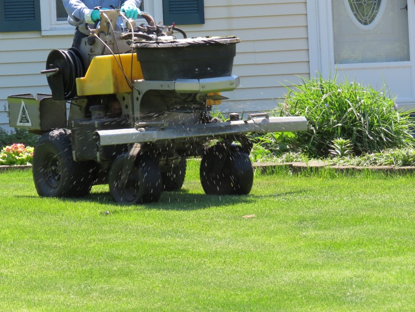 Avatar for Perfection Lawn and Pest Control