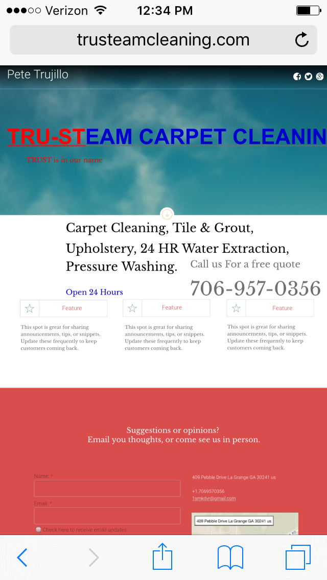 Tru-Steam Cleaning logo