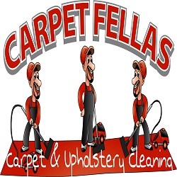 carpetfellas logo