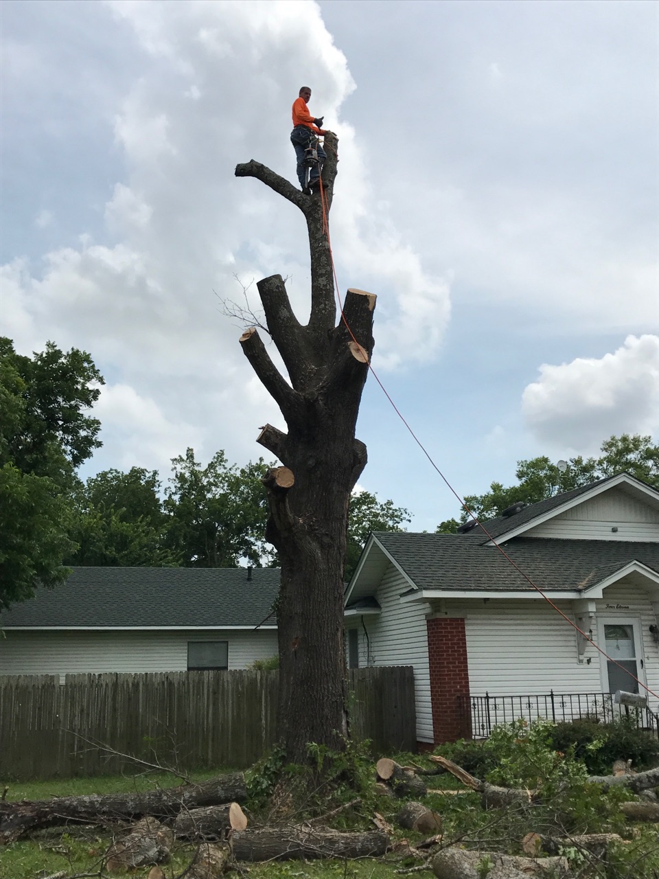Avatar for Tricky Tree Service