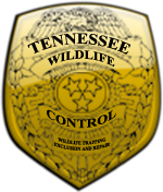 Tennessee Wildlife Control logo