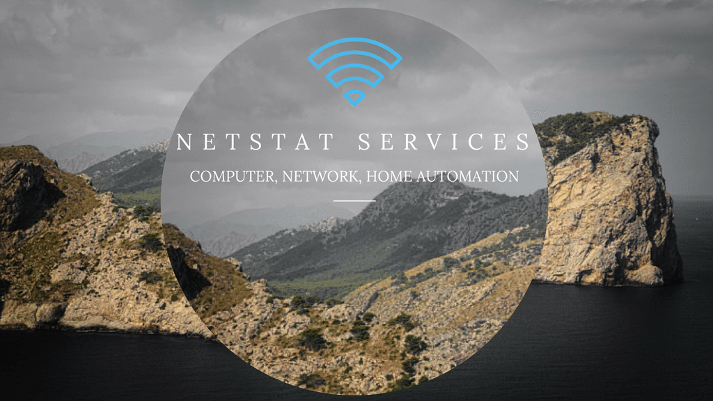 Avatar for Netstat Services