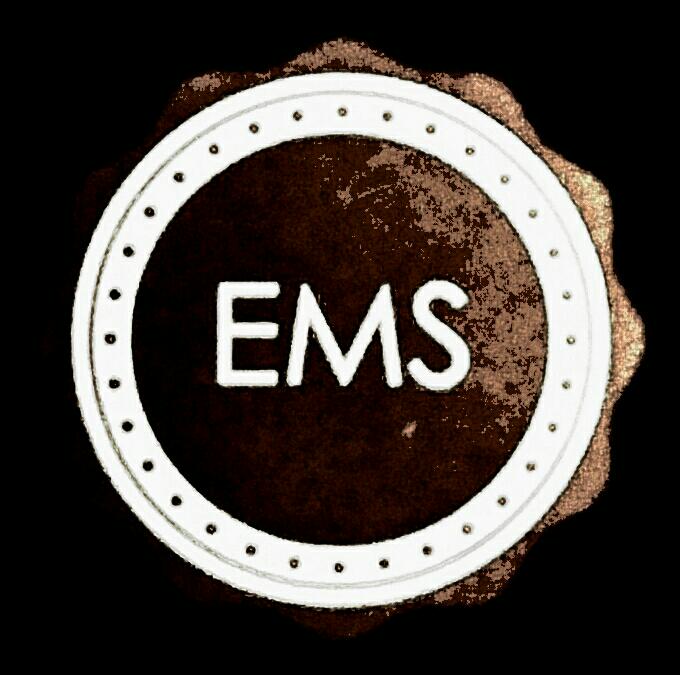 Exclusive MaidService logo
