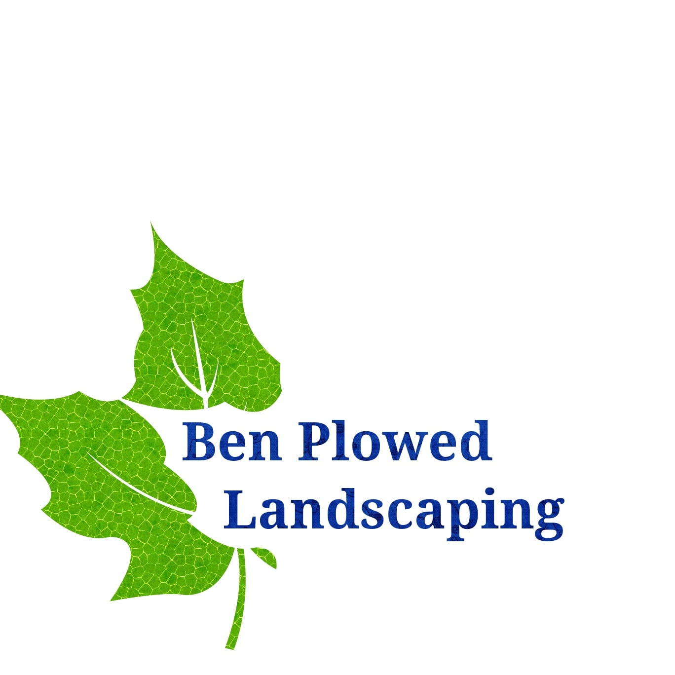 Avatar for Ben Plowed Landscaping