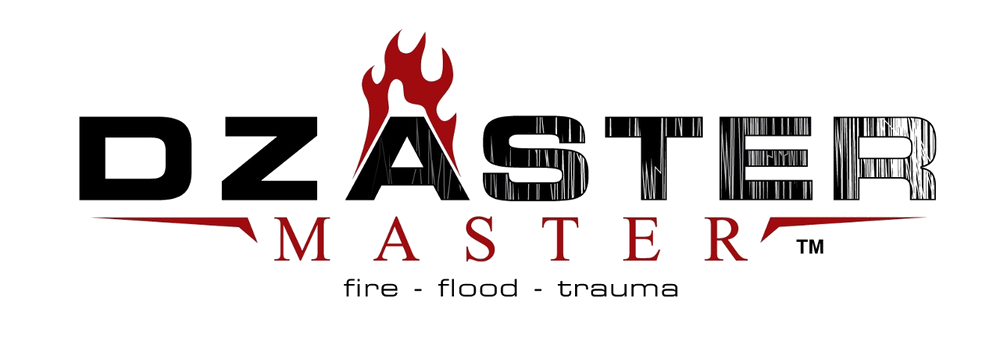 Dzaster Master logo