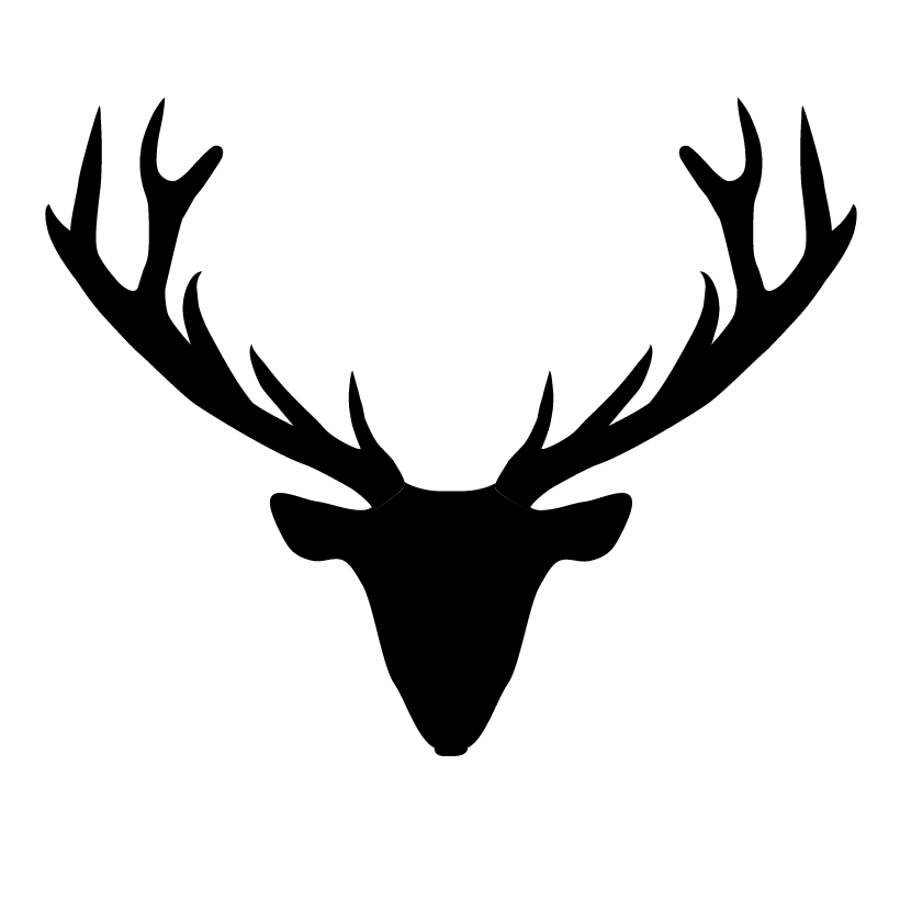 Mountain Studio Design logo