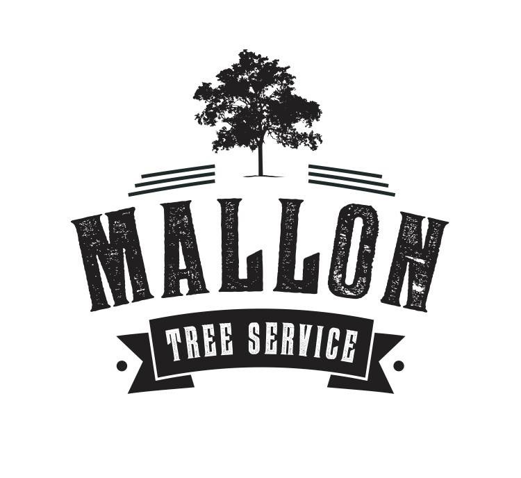 Avatar for Mallon Tree Service