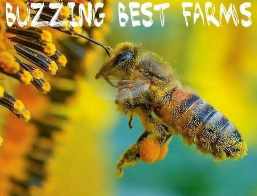 Buzzing Best Farms logo