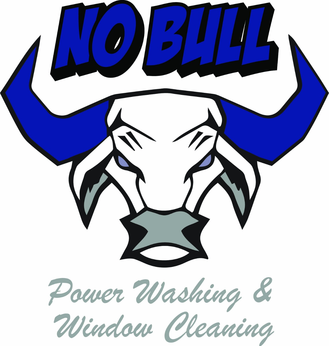 Avatar for no bull cleaning