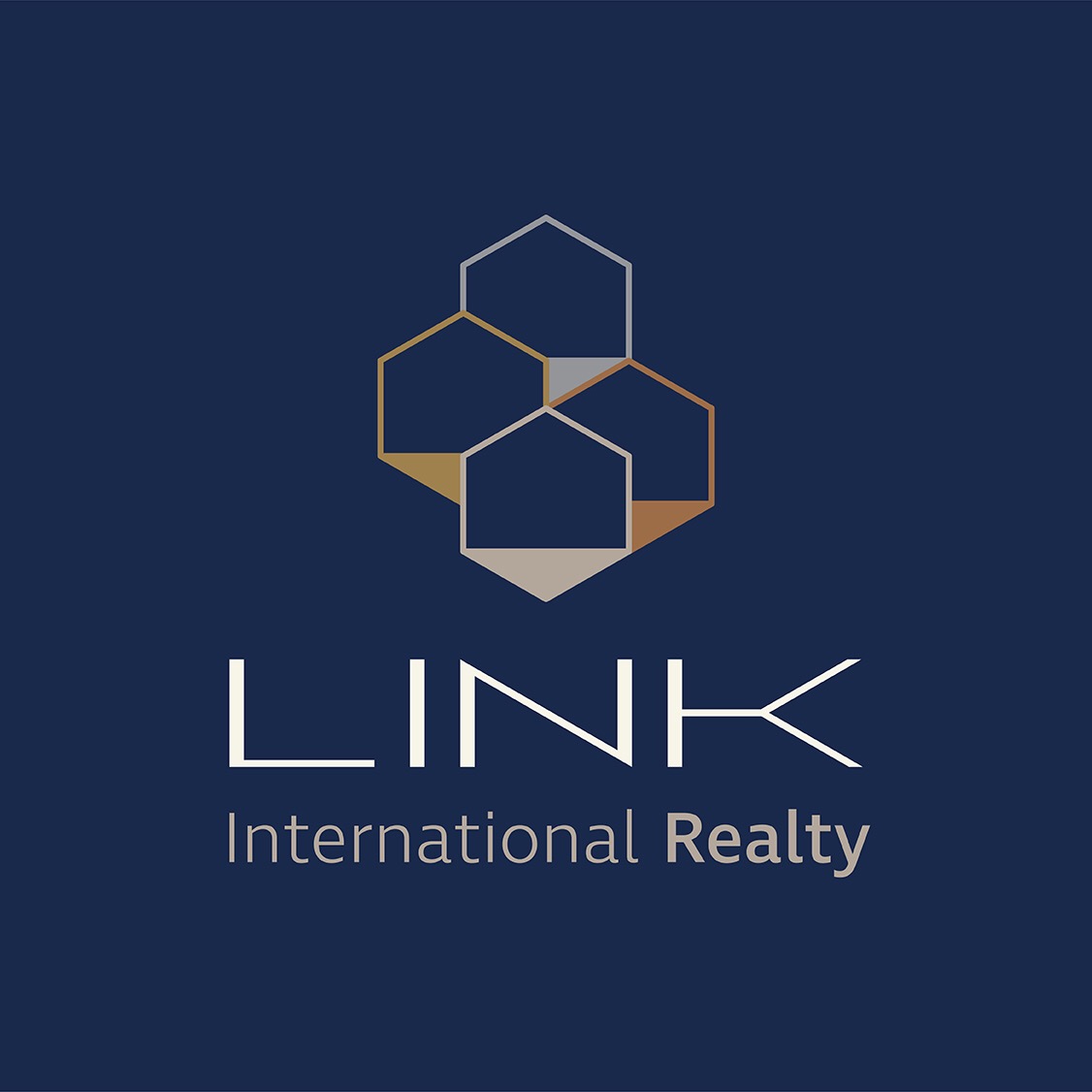 Realtor Larissa Konnikov - Link International Realty logo