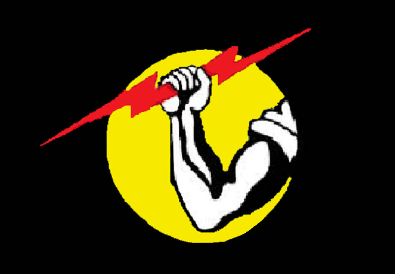 Avatar for Denko Bright Electric