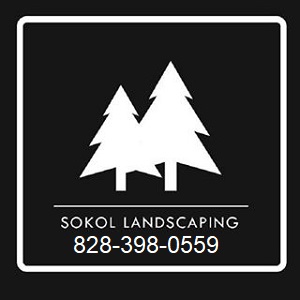 Avatar for Sokol Landscaping