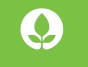 North Shore Painters logo