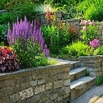 Premier Landscaping And Stone logo