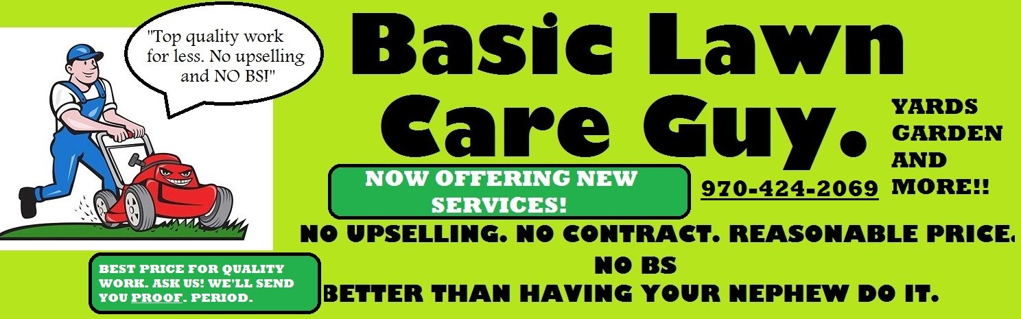Basic Lawn Care Guy and More logo