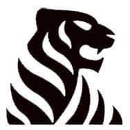 Tiger Auto Detail logo