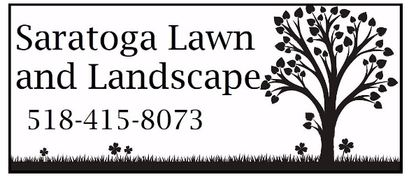 Avatar for Saratoga Lawn and Landscape