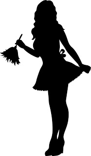TNT Dynamite Cleaning logo