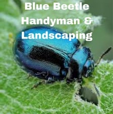 Avatar for Blue Beetle Handyman & Landscaping