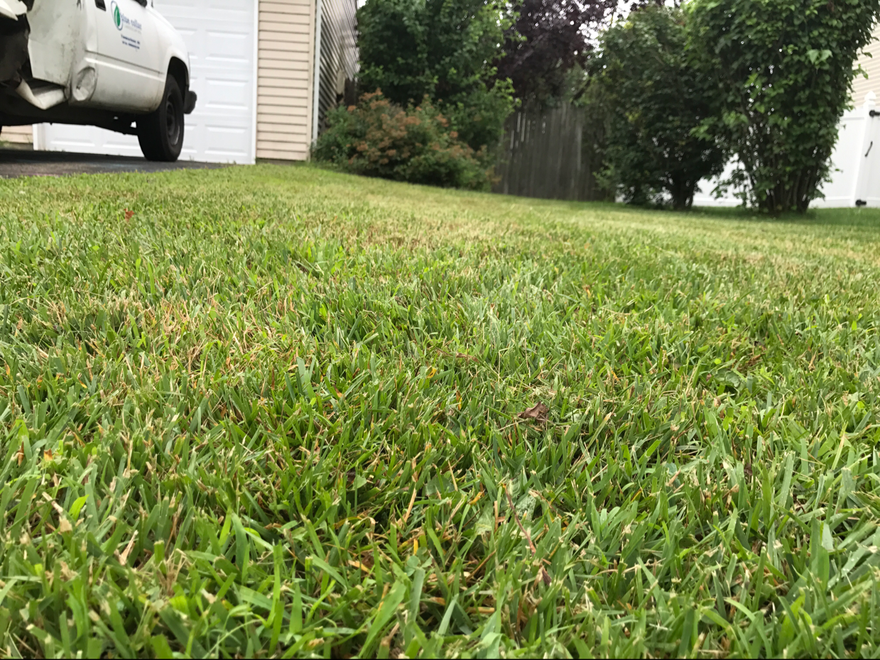 Avatar for Blue Collar Landscaping