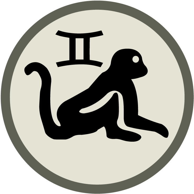 GeminiMonkey Workshop logo