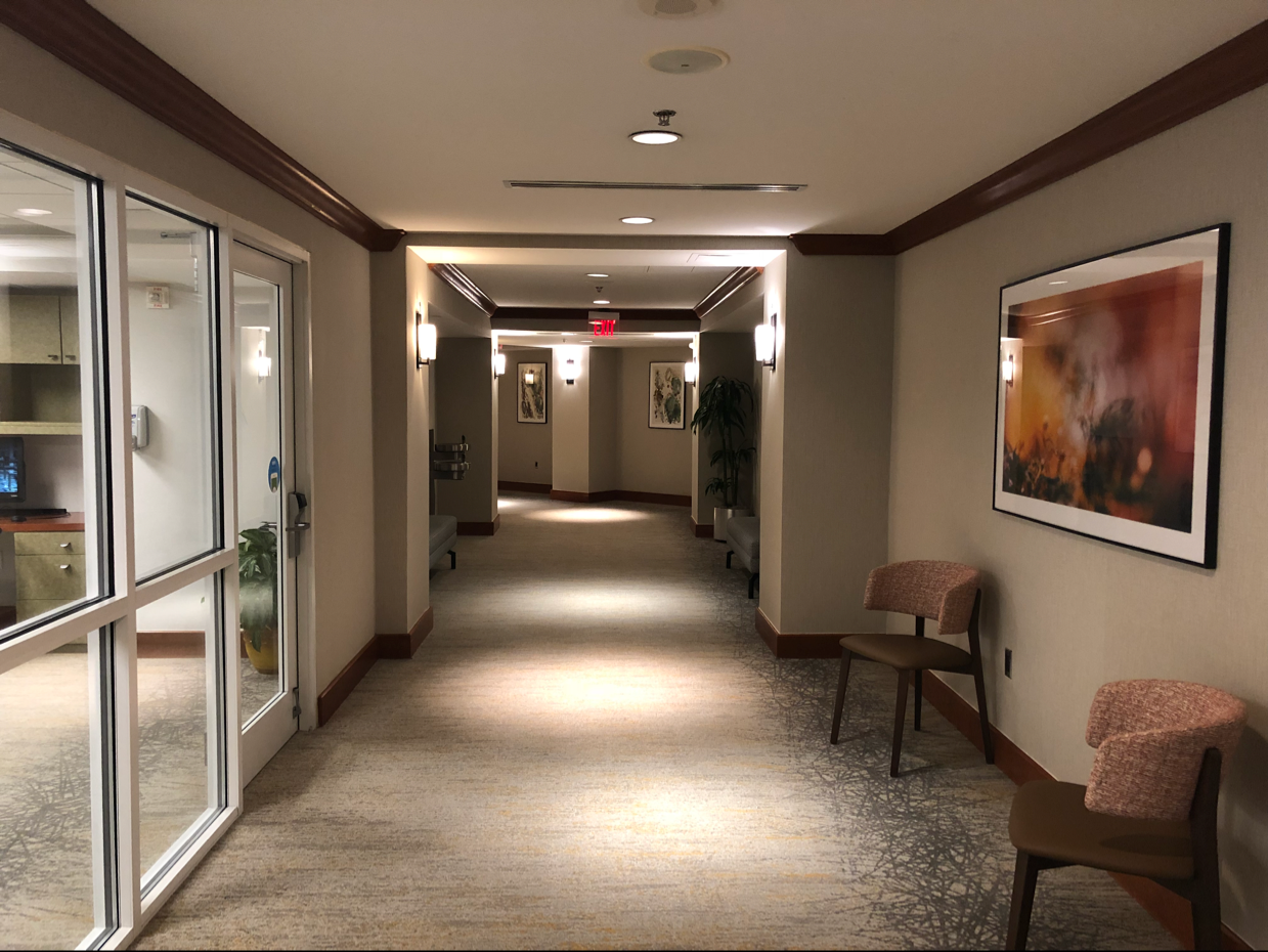 Avatar for Wallpaper Pachos.com