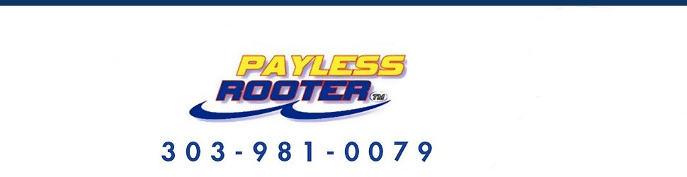 Payless Rooter & Mato Plumbing LLC logo