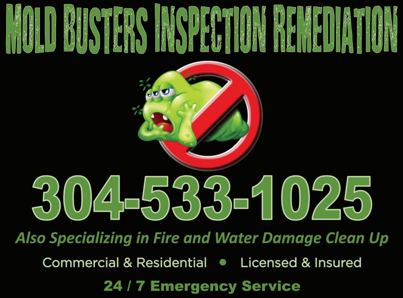 Avatar for Mold Busters