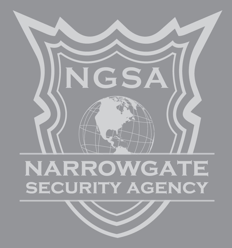Avatar for NarrowGate Security Agency