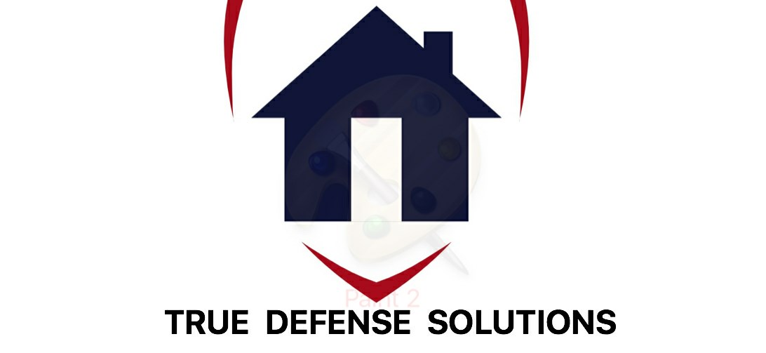 True Defense Solutions logo