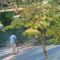 Avatar for Authentic Concrete