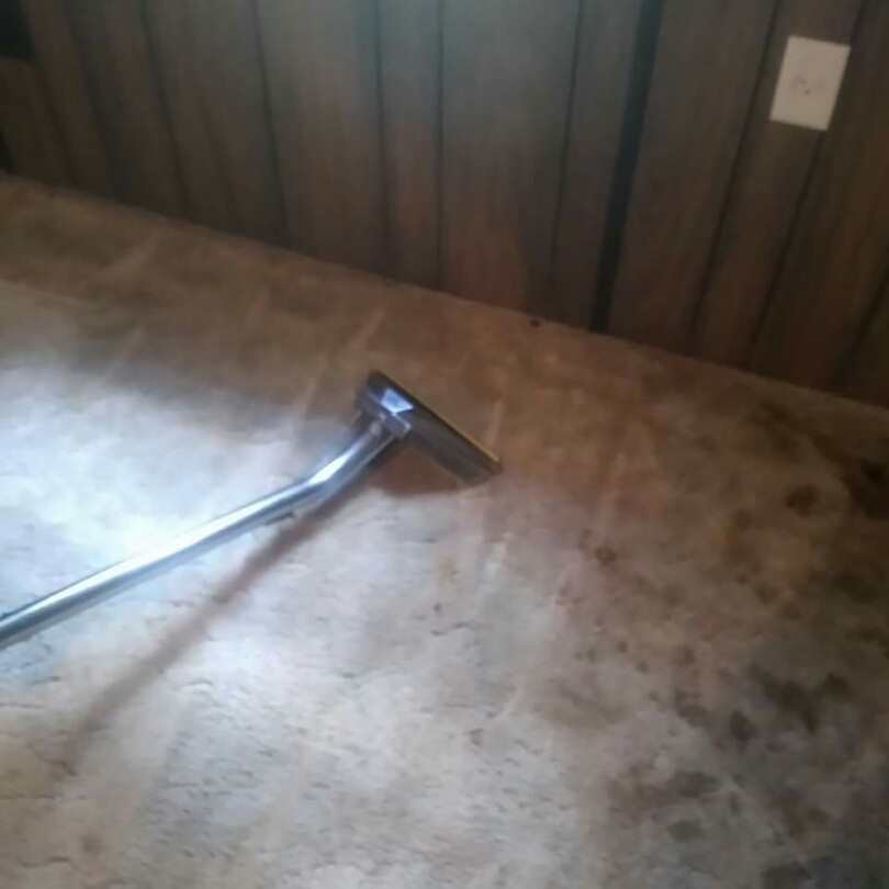 Avatar for Drynclean carpet cleaning