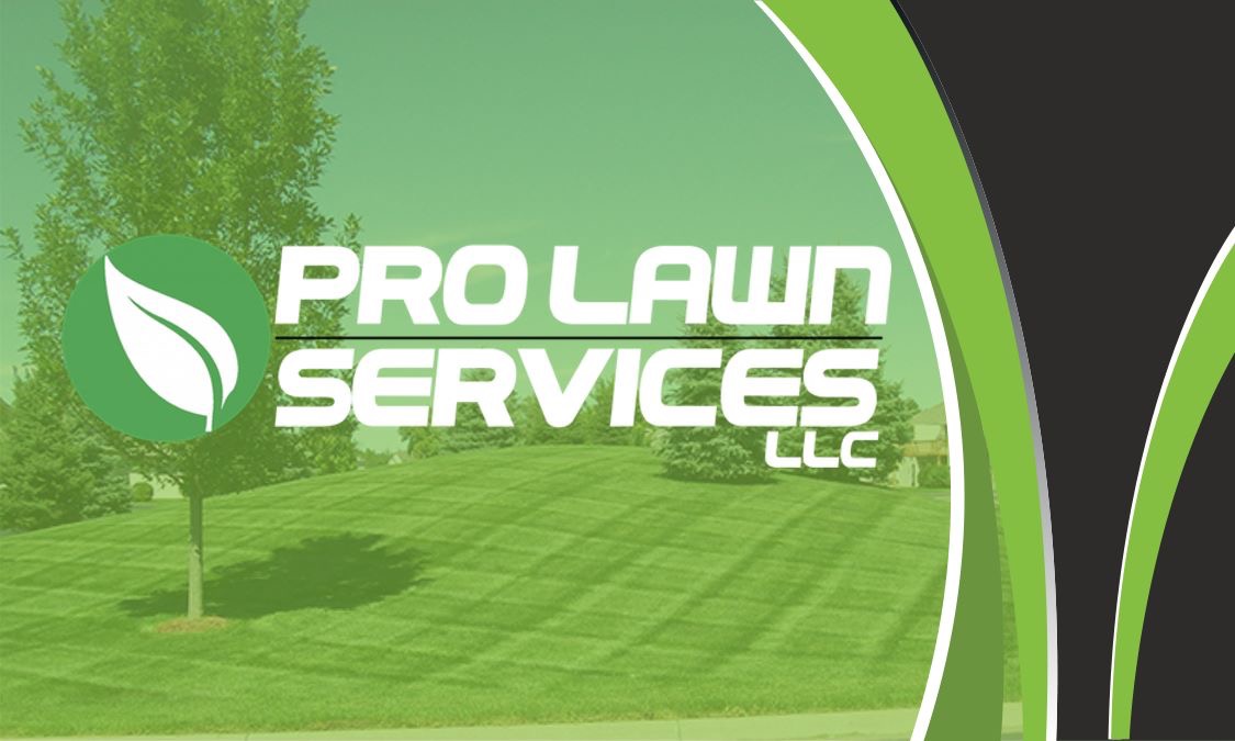 Avatar for Pro Lawn Services LLC