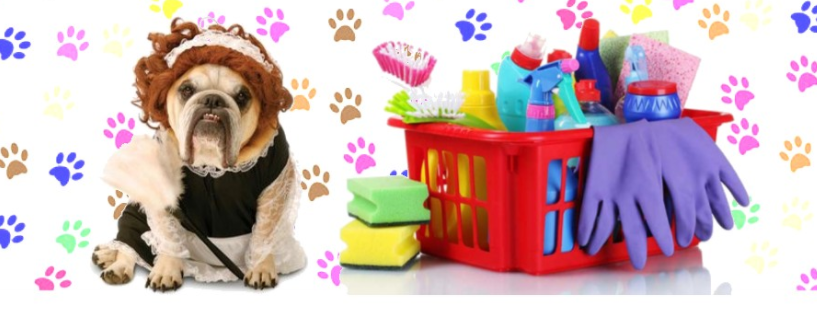 Patricia's Pads and Paws logo