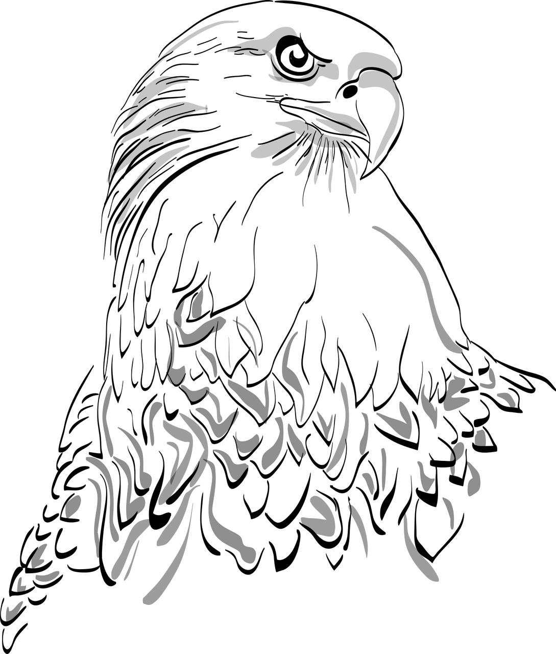 Eagle Eye logo