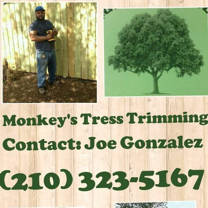 Avatar for Monkey's Tree Trimming