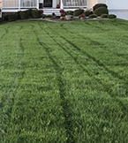 Windy Knoll Land Maintenance logo