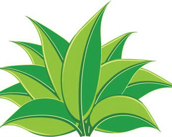 S and J Terrain Superior Landscaping logo