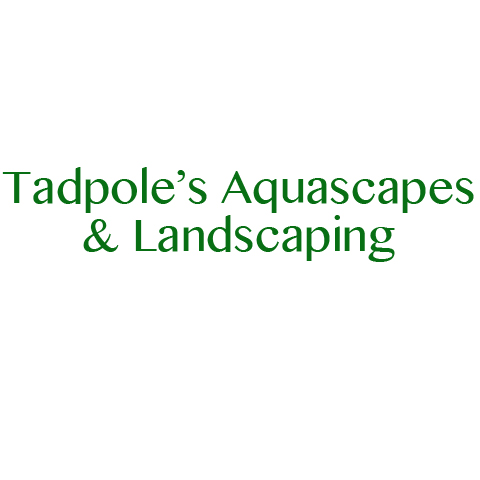 Tadpole's Aquascapes & Landscaping logo