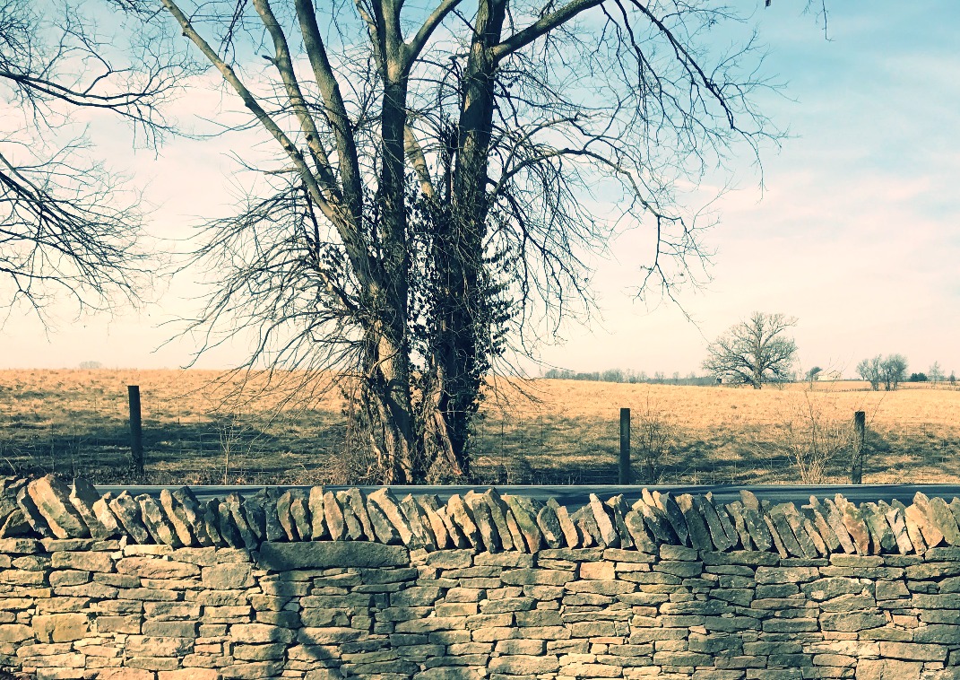 Avatar for O'Grady Stone