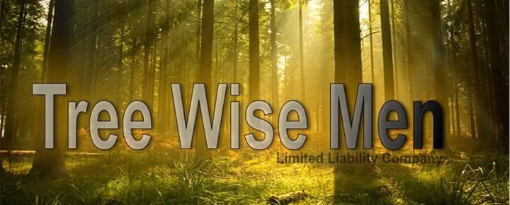 Tree Wise Men LLC. logo