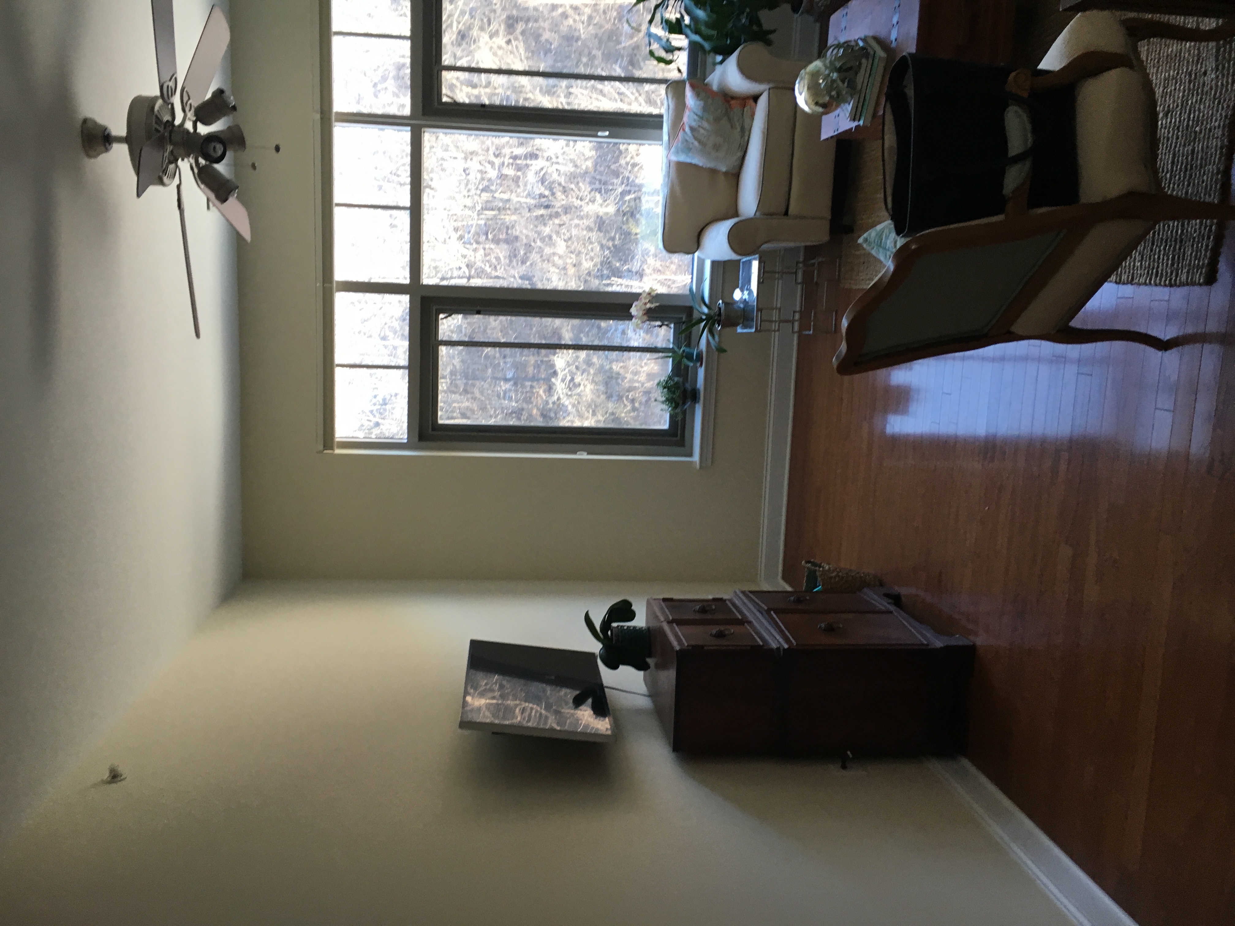 Haven Painting and Interior logo