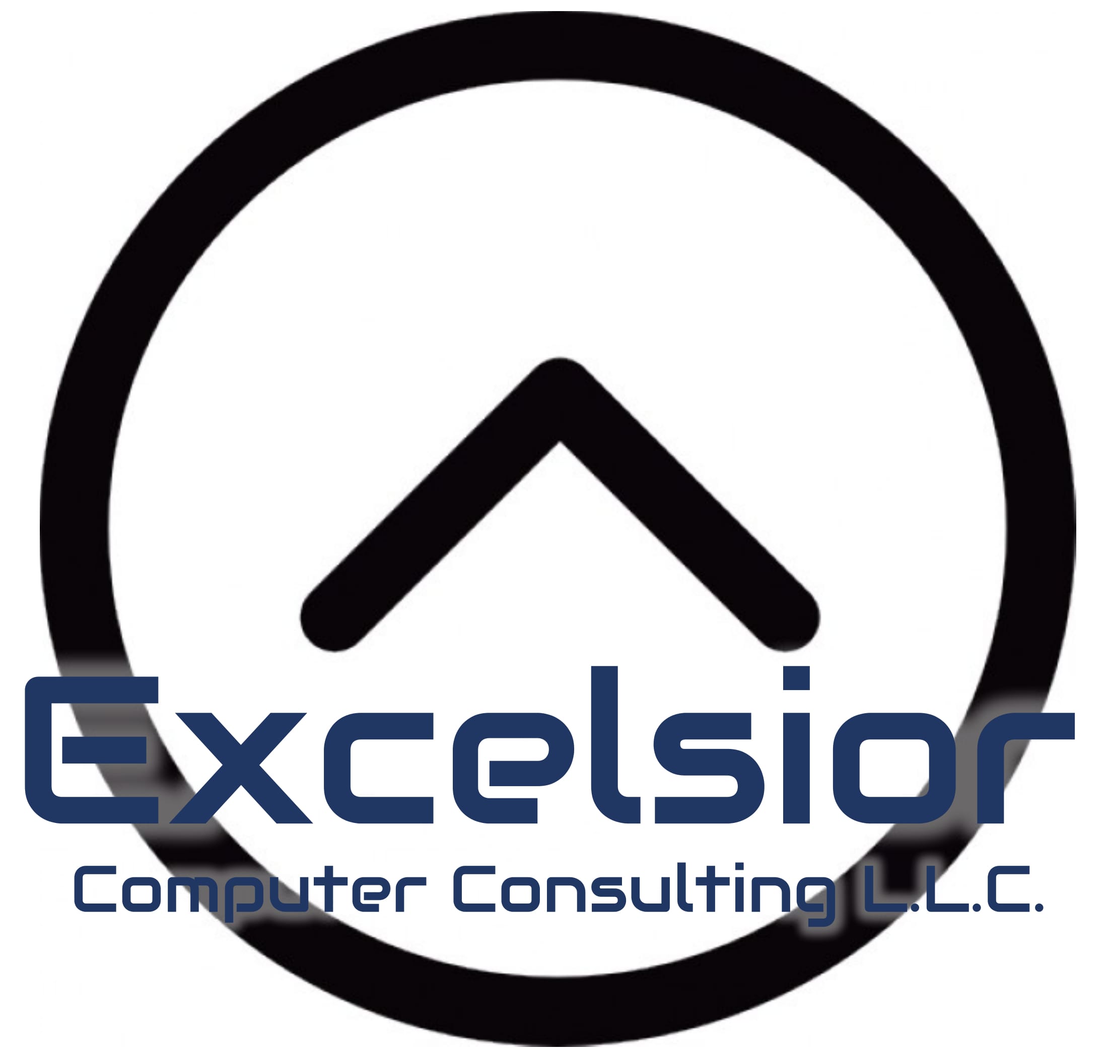 Excelsior Computer Consulting LLC logo