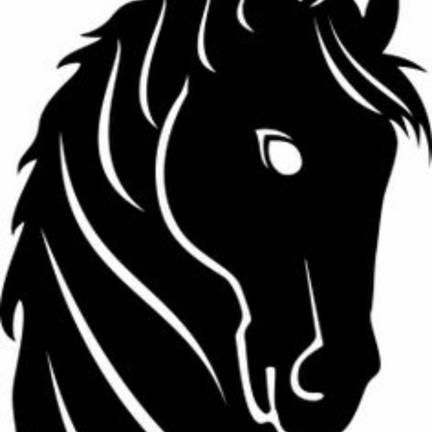 DH Trading Co LLC logo